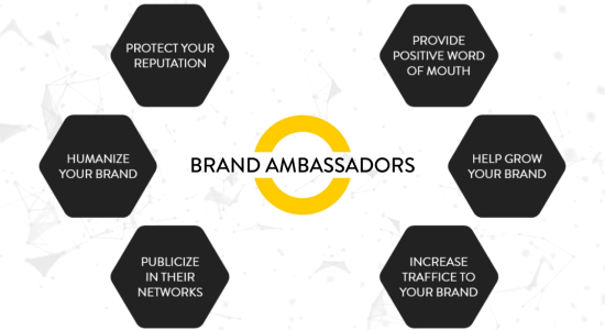 brand-ambassadors-vs-influencers-in-ecommerce